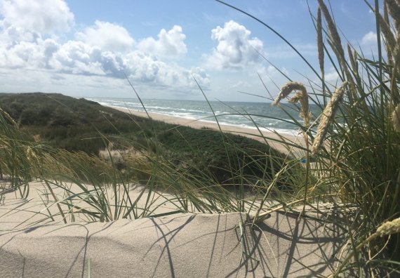 Alzheimer Hamburg | In Planung - Betreute Urlaube für Menschen mit beginnender Demenz und Angehörige im Ostseebad  ...